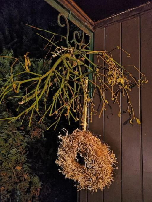 Huisje Mezengroet ลานาเคน ภายนอก รูปภาพ